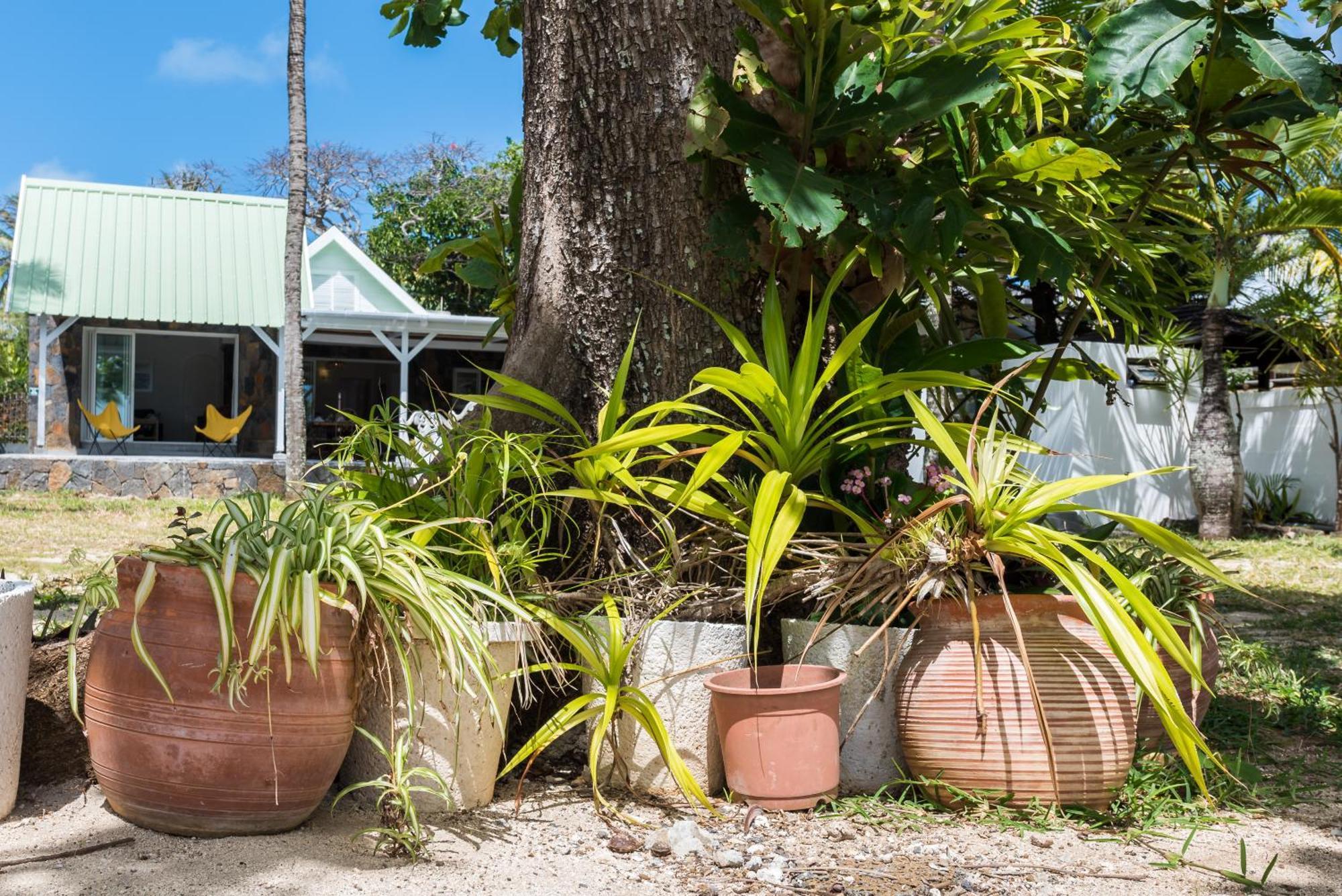 Quaint Beach Villa In A Fishing Village Grand-Gaube Exterior foto